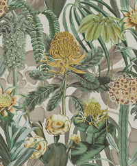 Arte Birds Of Paradise The Botanist BOP601