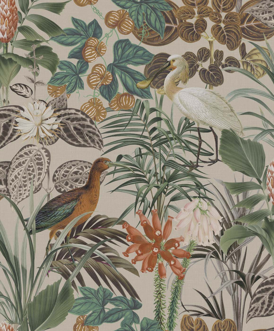 Arte Birds Of Paradise The Wading Birds BOP502