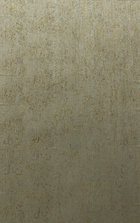Arte Cobra CA2 CA22