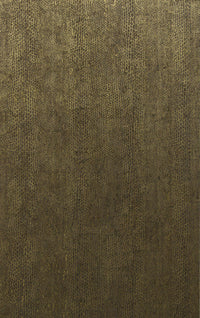 Arte Cobra CA2 CA24