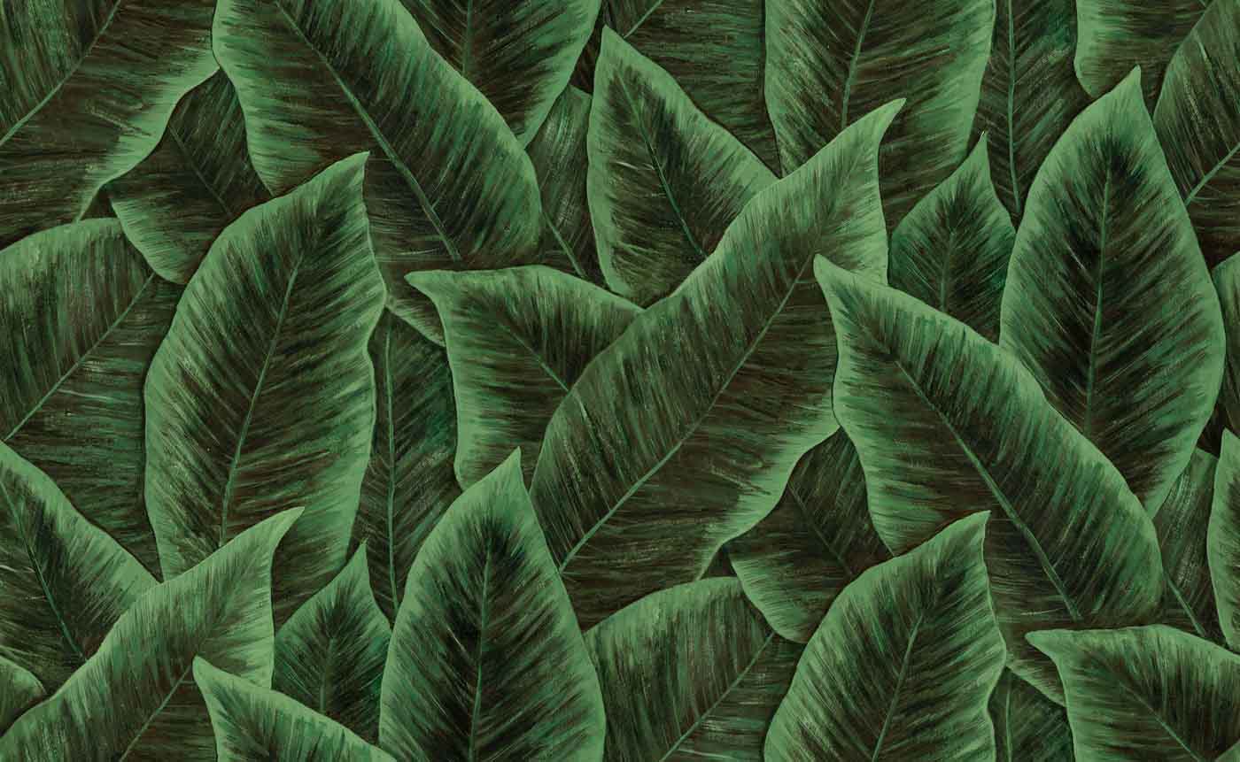 Arte Decors & Panoramiques Bird Of Paradise 97572 Behang