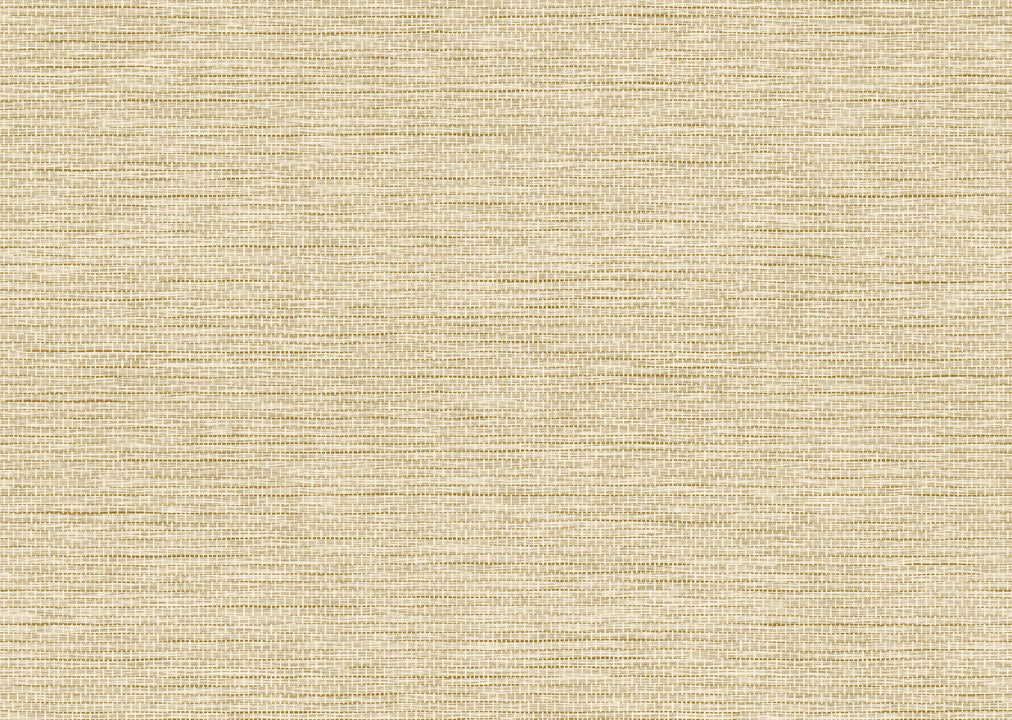 Arte Essentials L'Invité Le Papier Tissé 60501