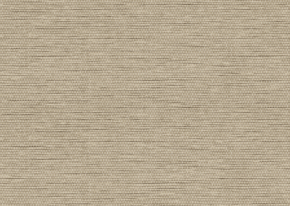 Arte Essentials L'Invité Le Papier Tissé 60505