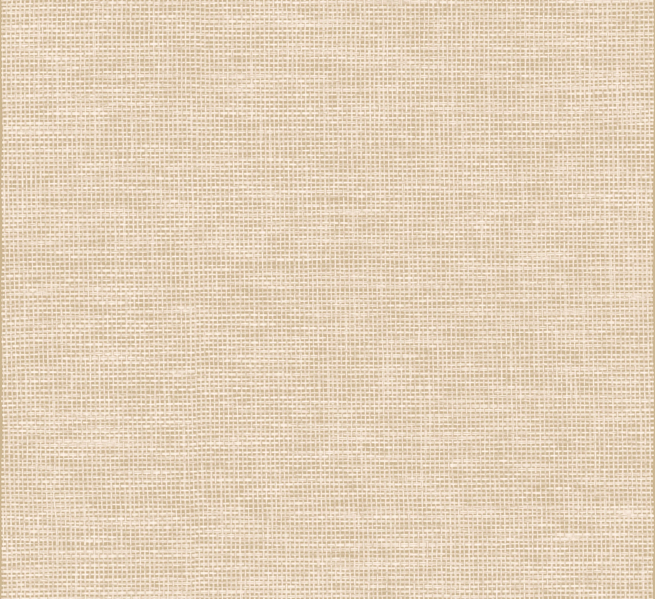 Arte Essentials Les Naturels La Raphia Tisse 26742