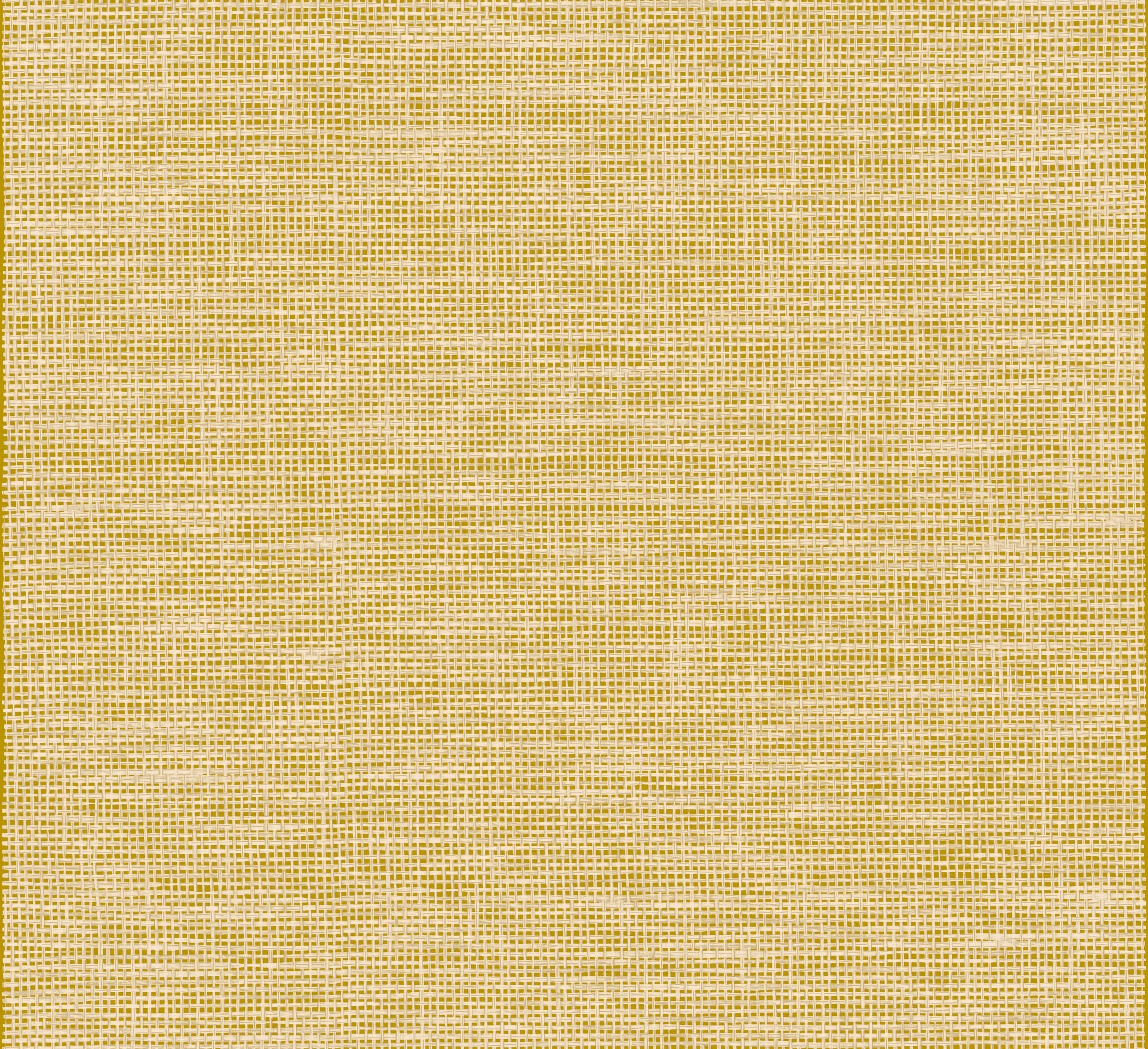 Arte Essentials Les Naturels La Raphia Tisse 26745