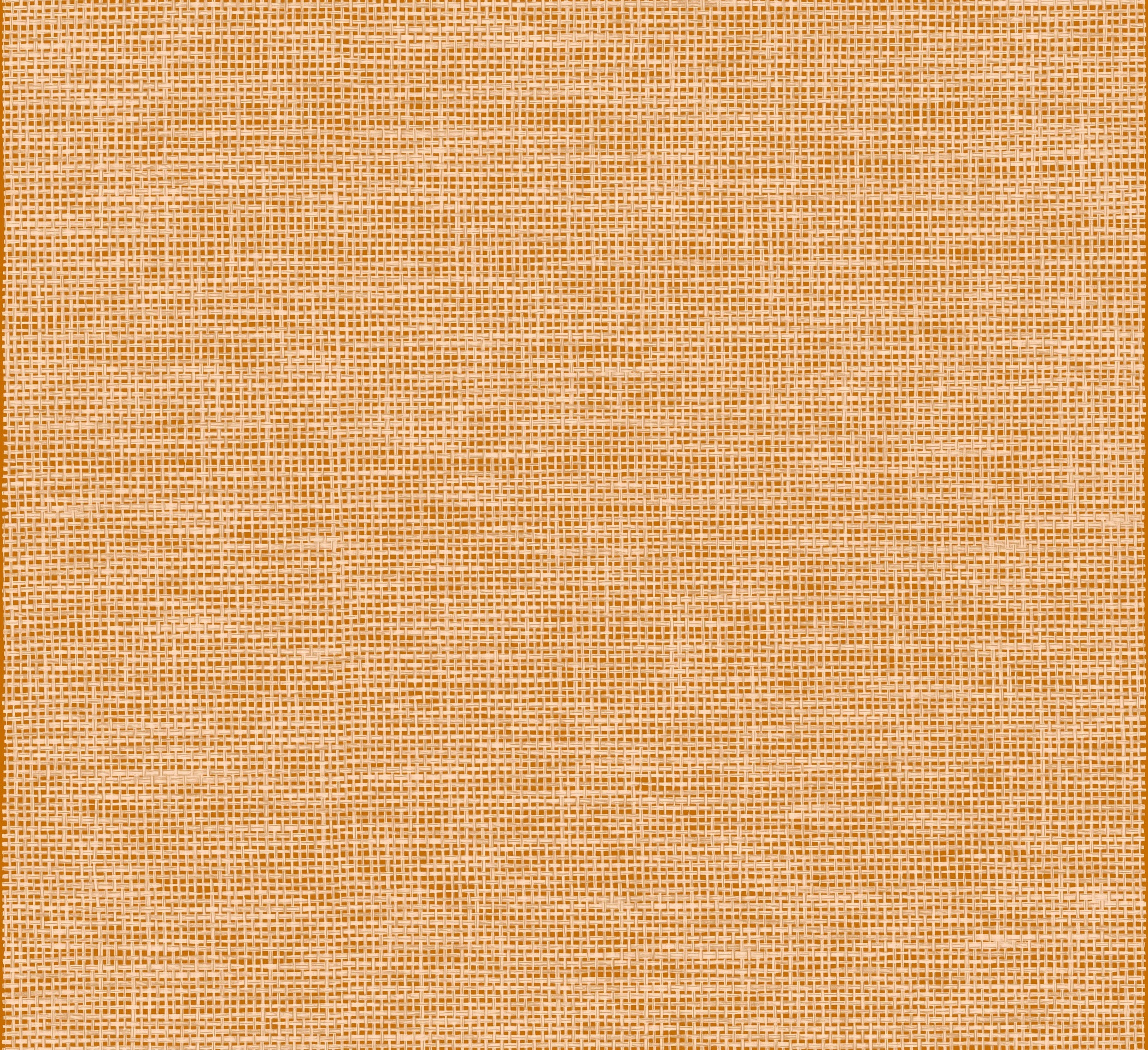 Arte Essentials Les Naturels La Raphia Tisse 26746