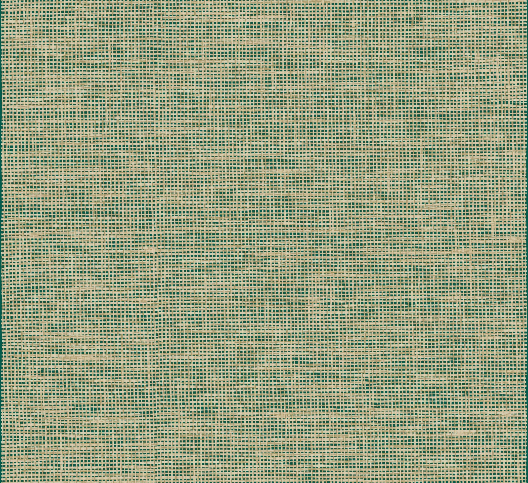 Arte Essentials Les Naturels La Raphia Tisse 26749