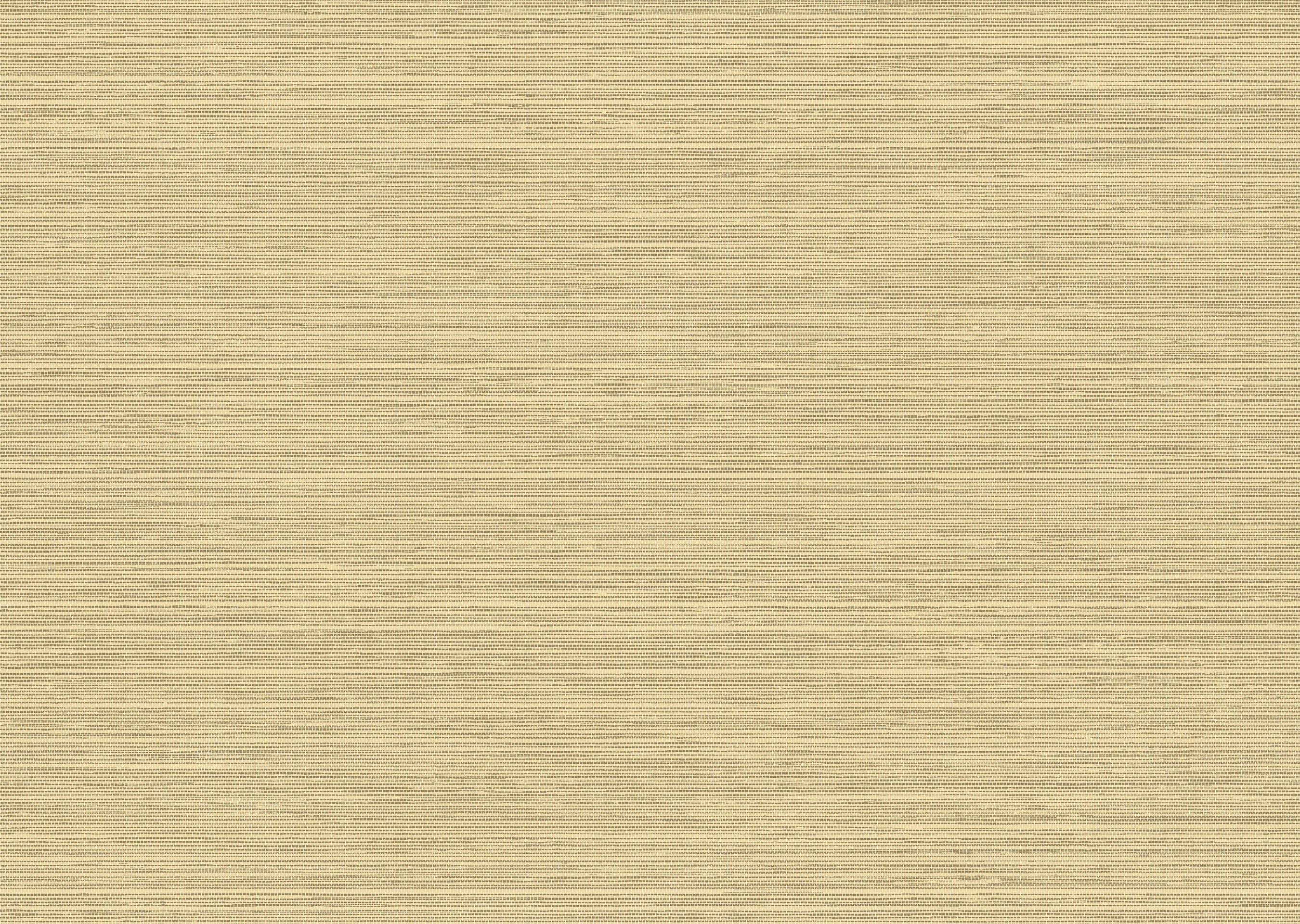 Arte Essentials Les Naturels Le Sisal 26712 Behang