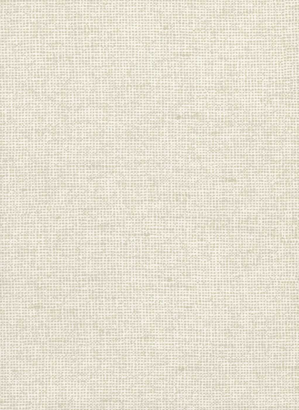 Arte Les Nuances Chanderi 91500