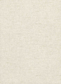 Arte Les Nuances Chanderi 91500