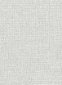 Arte Les Nuances Chanderi 91502