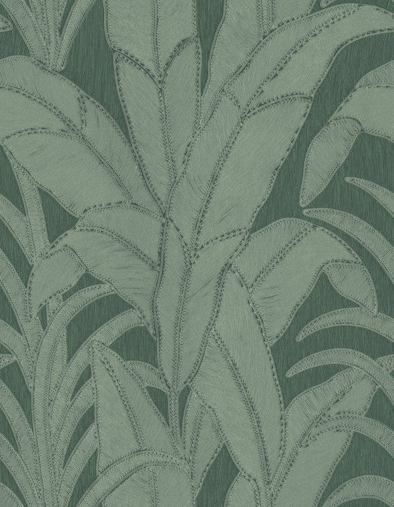 Arte Botanic 64504