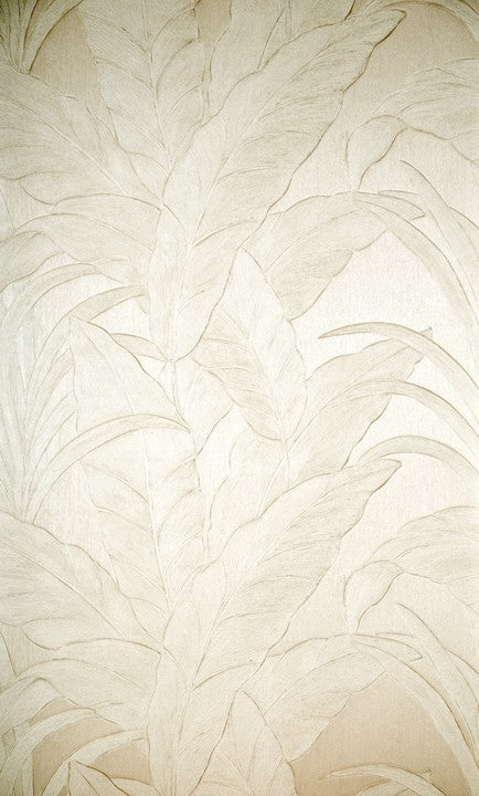 Arte Musa 75005