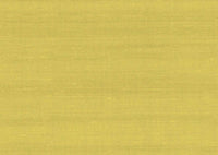 Arte Paleo Latus 50507