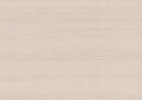 Arte Paleo Latus 50512