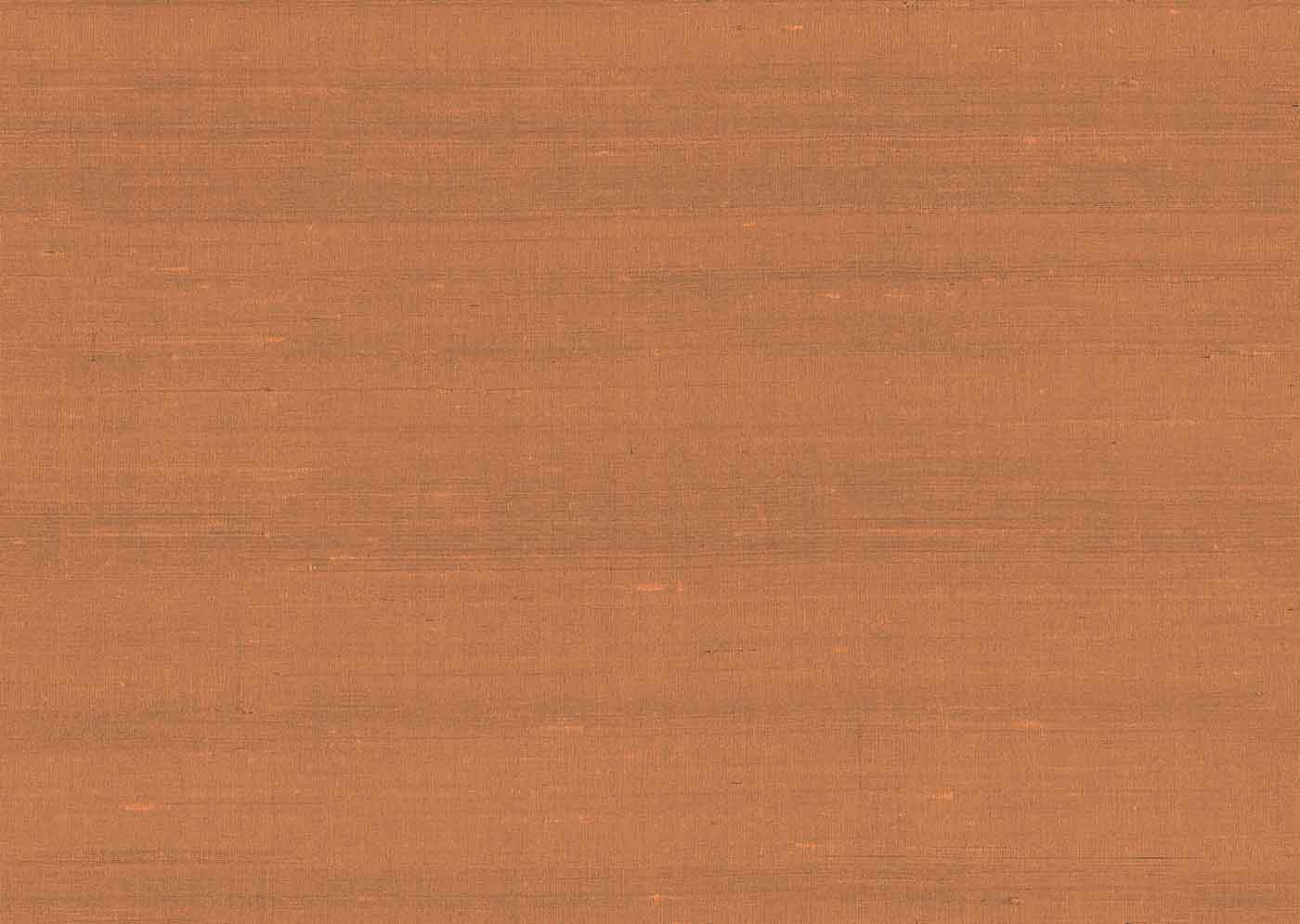 Arte Paleo Latus 50514