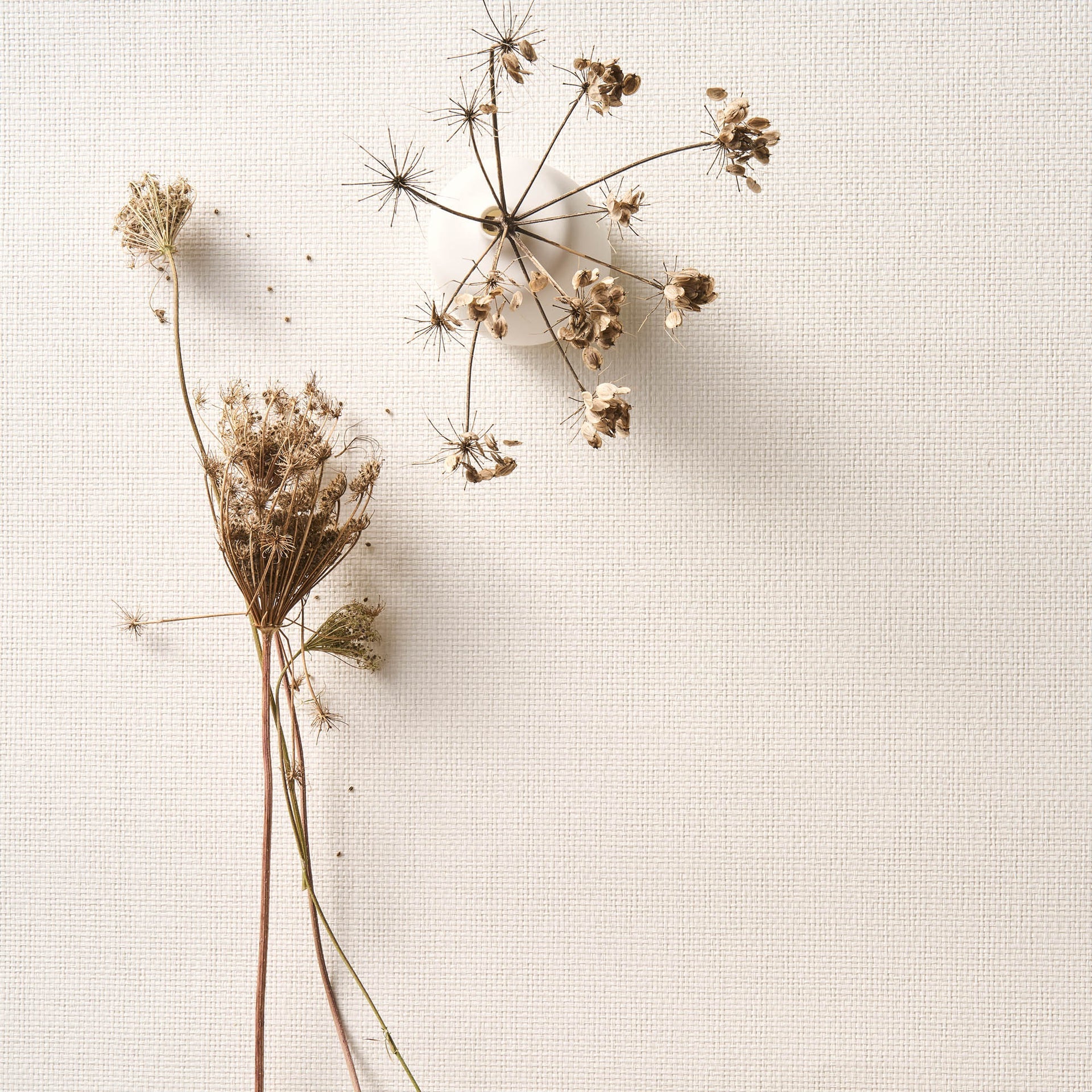 Arte Pure Purity PU451 Behang