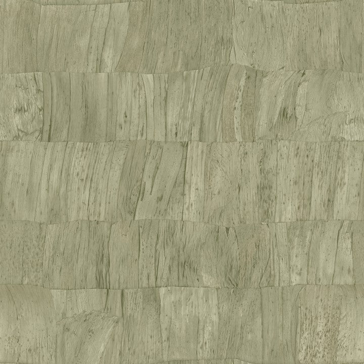 Arte Selva Capas 34304