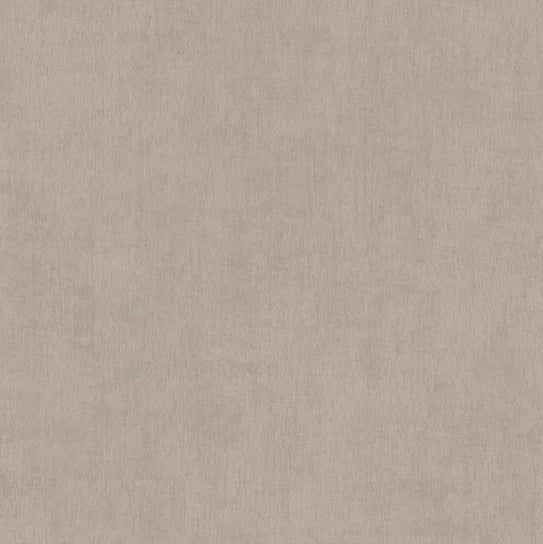 Histoires de Couleurs BN Walls 220861