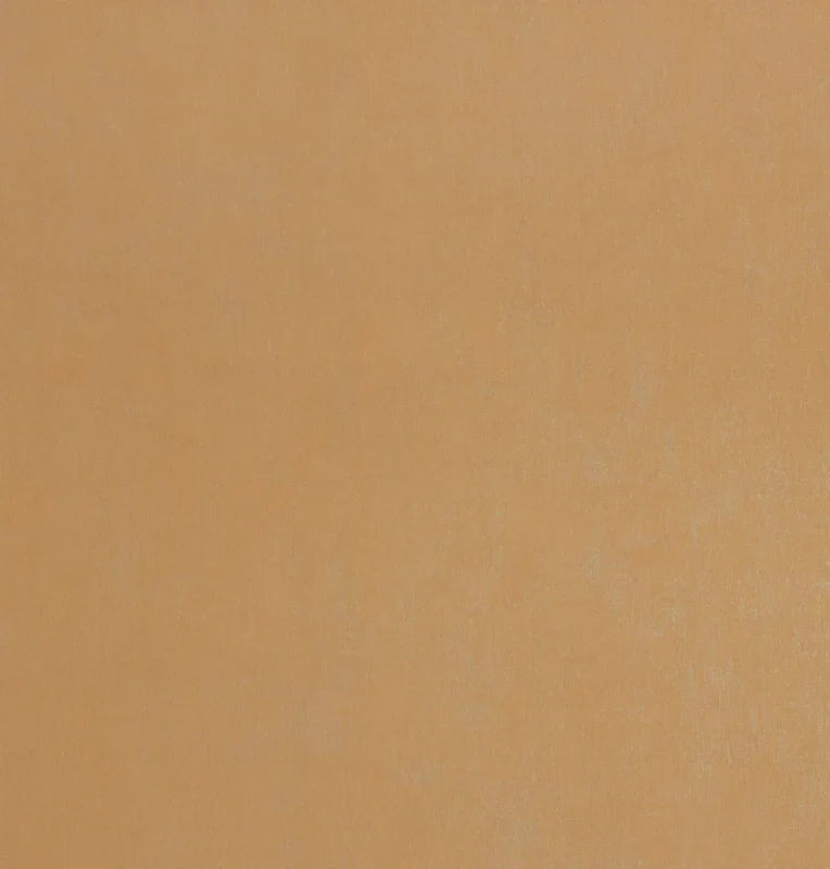 BN Walls Color Stories Cinnamon 218507