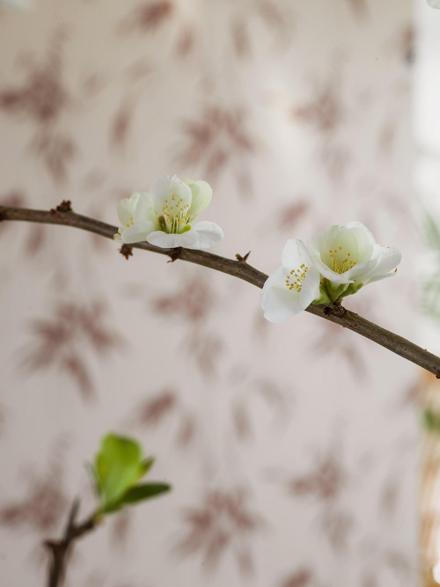 Boråstapeter Eastern Simplicity Ink Bamboo 3112 Behang