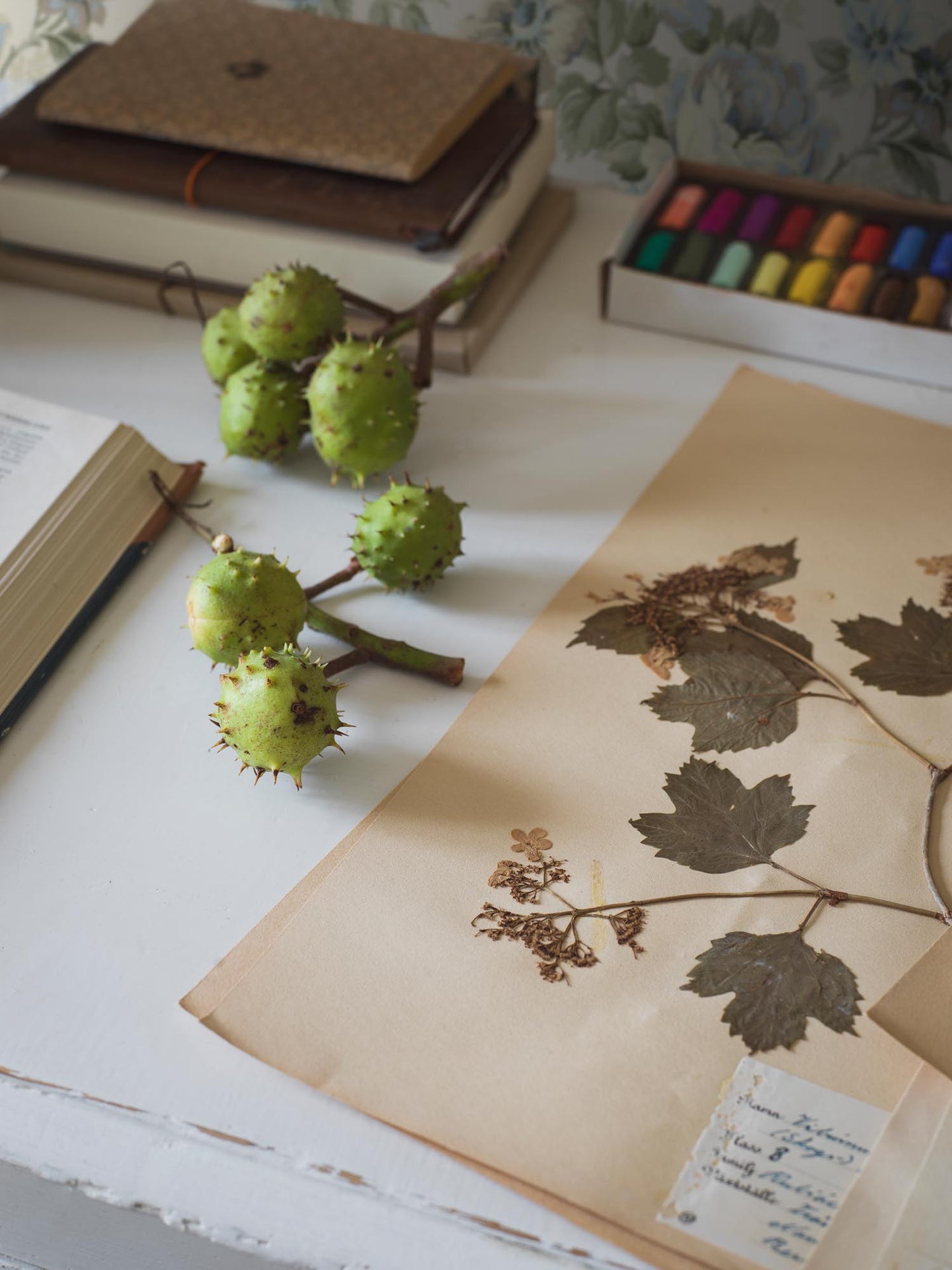 Boråstapeter Orangeri Hortensia 5726 Behang