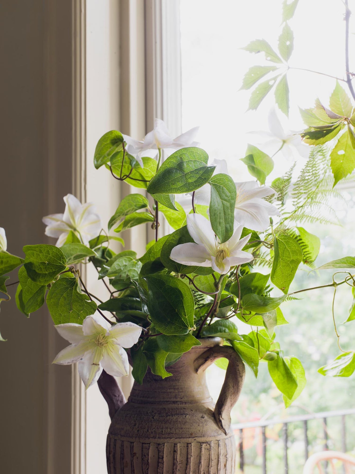 Boråstapeter Orangeri Olivträd 5704 Behang