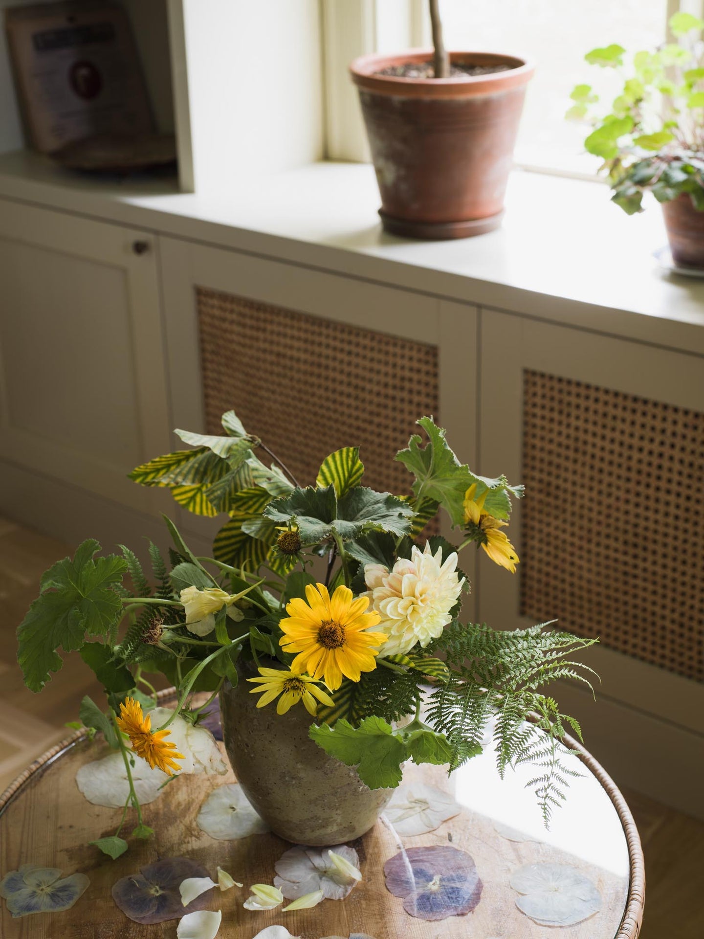 Boråstapeter Orangeri Olivträd 5704 Behang