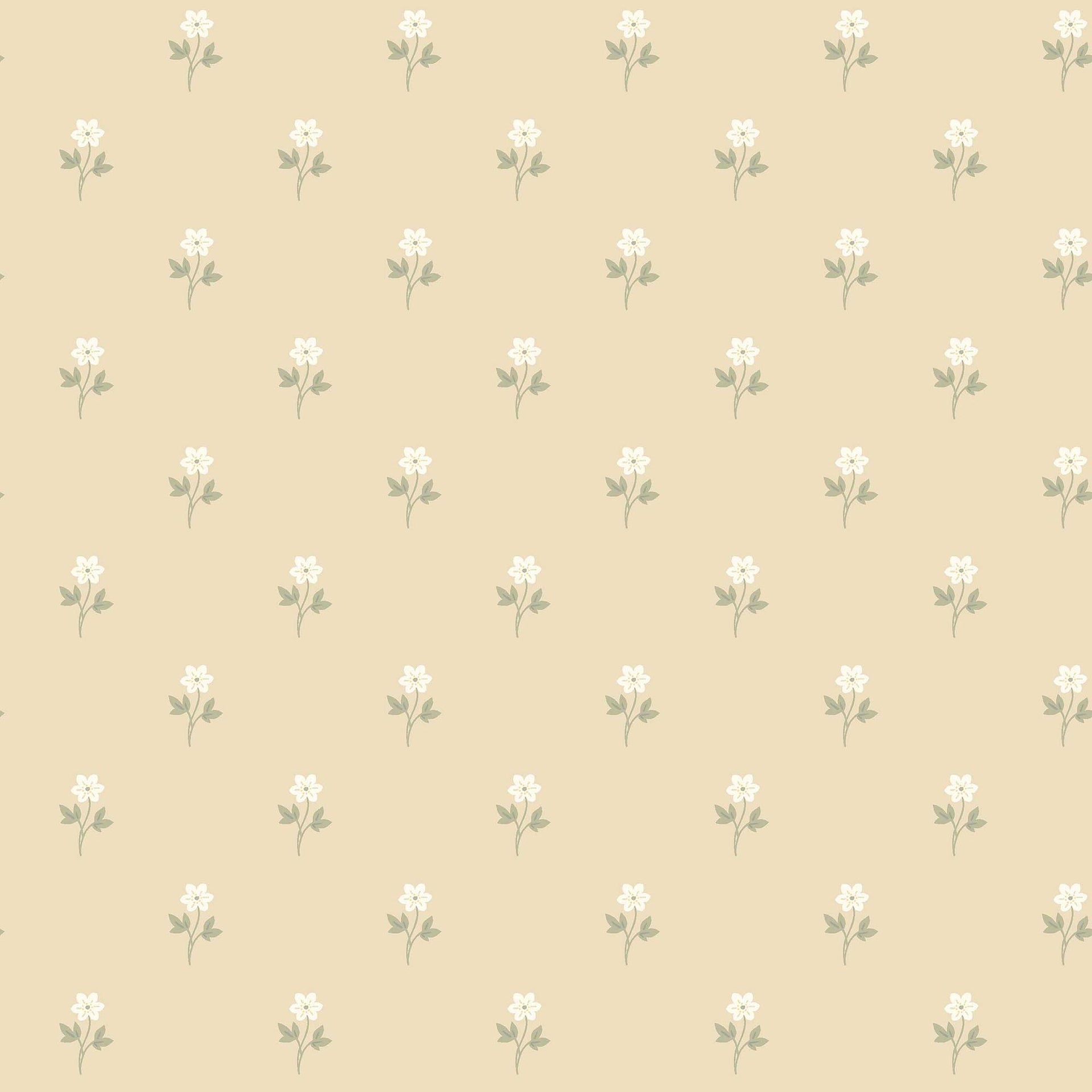 Boråstapeter Österlen Anemone 6972 Behang