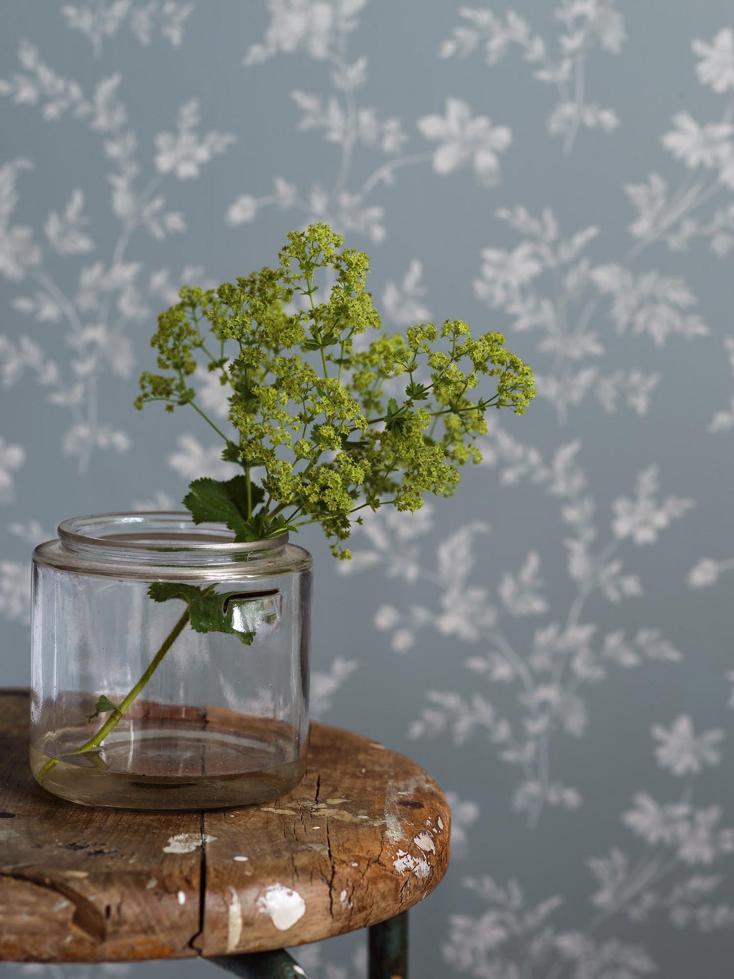 Boråstapeter Timeless Traditions Ängsblomma 3272 Behang