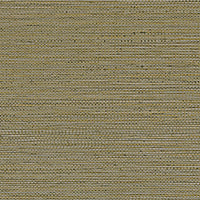 Casamance Golfe Du Bengale Zostera - 75972242