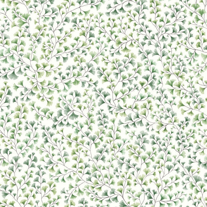 Cole & Son Botanical Maidenhair 115/6018