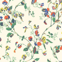 Cole & Son Botanical Sweet Pea 115/11032