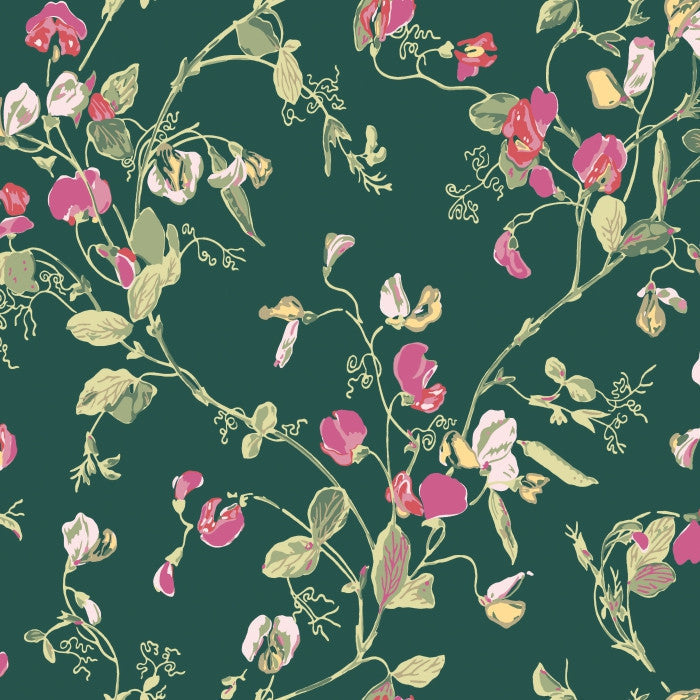 Cole & Son Botanical Sweet Pea 115/11033