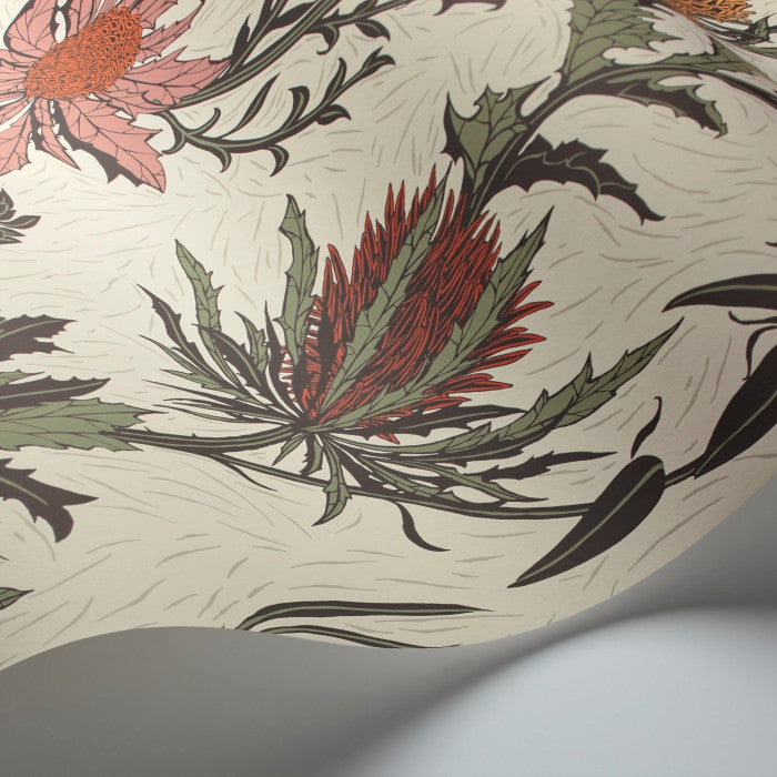 Cole & Son Botanical Thistle 115/14043