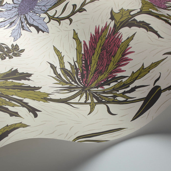 Cole & Son Botanical Thistle 115/14044