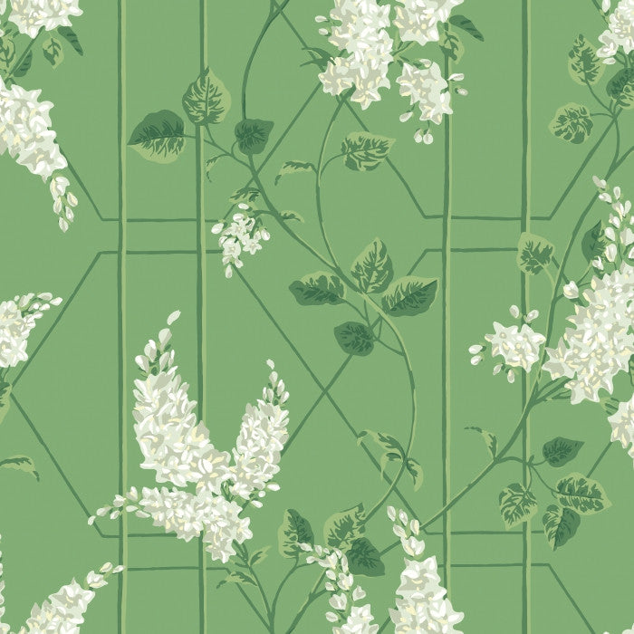 Cole & Son Botanical Wisteria 115/5016