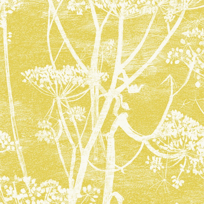 Cole & Son Contemporary Collection Cow Parsley 66/7051 Behang