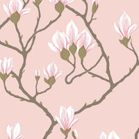Cole & Son Contemporary Collection Magnolia 72/3009