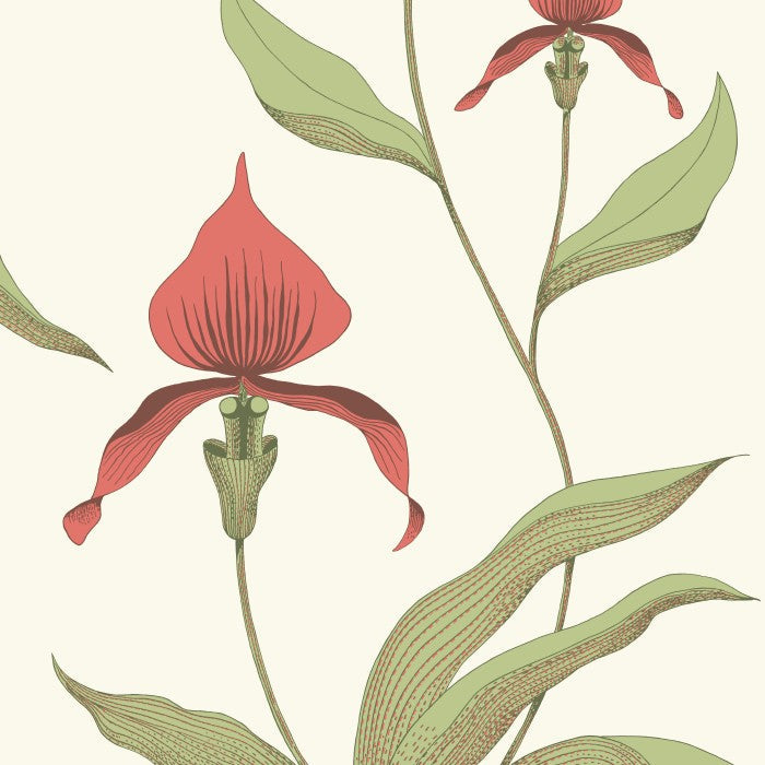 Cole & Son Contemporary Collection Orchid 95/10054 Behang