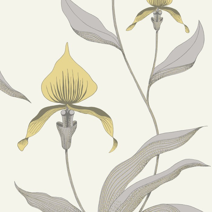 Cole & Son Contemporary Collection Orchid 95/10057 Behang