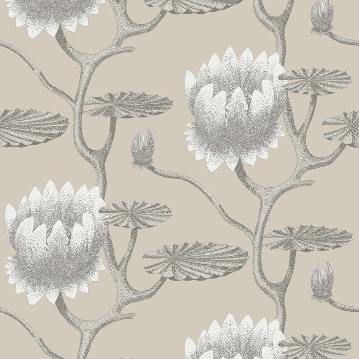 Cole & Son Contemporary Collection Summer Lily 95/4025 Behang