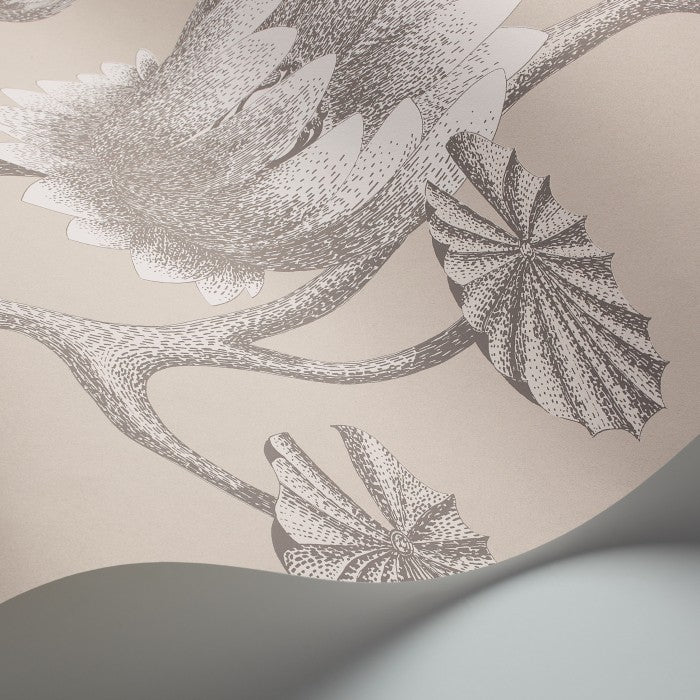 Cole & Son Contemporary Collection Summer Lily 95/4025 Behang