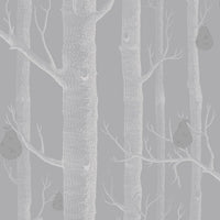 Cole & Son Contemporary Collection Woods & Pears 95/5029