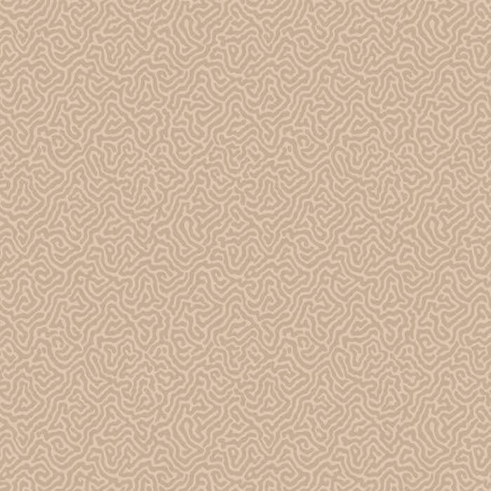 Cole & Son Curio Vermicelli 107/4019