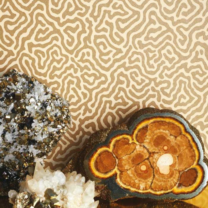 Cole & Son Curio Vermicelli 107/4020