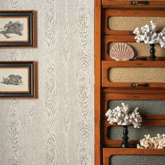 Cole & Son Curio Wood Grain 107/10046