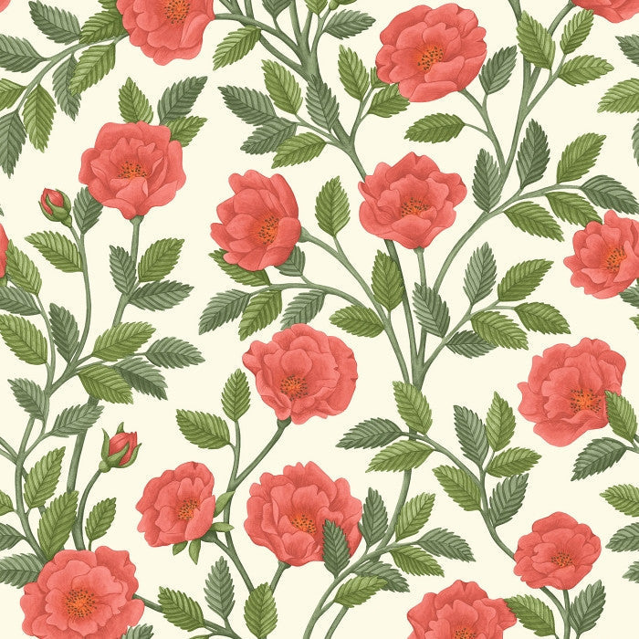 Cole & Son Great Masters Hampton Roses 118/7013