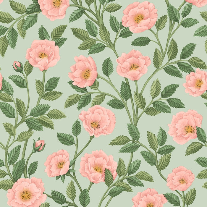 Cole & Son Great Masters Hampton Roses 118/7014