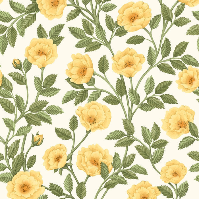 Cole & Son Great Masters Hampton Roses 118/7015